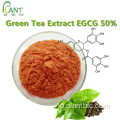 天然抗酸化緑茶エキスパウダー